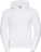Men's Authentic Hooded Sweatshirt - ABA7F8EA-C2E8-4DF1-9F36-8C88B4BE6E7F - variant CC 10265M00100