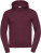 Men's Authentic Hooded Sweatshirt - DDBBB45C-EF09-4F43-A0CF-C2ACC04CC8B8 - variant CC 10265M37000