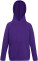 Kids Hooded Sweatshirt - CECB5BFD-7F25-496D-876D-30B362A34F28 - variant CC 16200935062