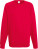 Raglan Sweatshirt - 3EE2B0C9-B686-4598-9045-436D5AAB7705 - variant CC 16213800401