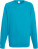 Raglan Sweatshirt - 6D19A8C2-B553-4894-A69C-13E548AAA876 - variant CC 16213816201