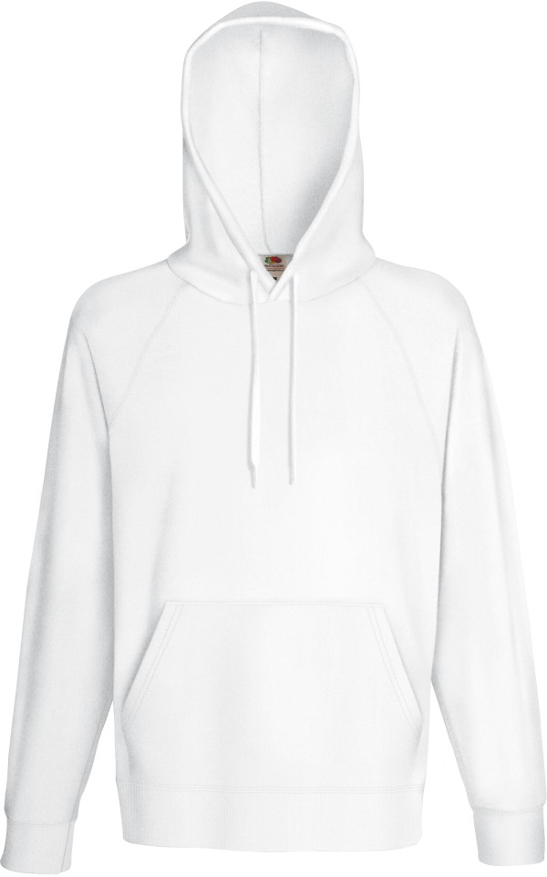 Raglan Hooded Sweatshirt
