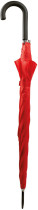 Automatic Umbrella - 2221DE9D-CABE-46CF-9BE1-028F1FF4BBA0 - variant CC 19202100499