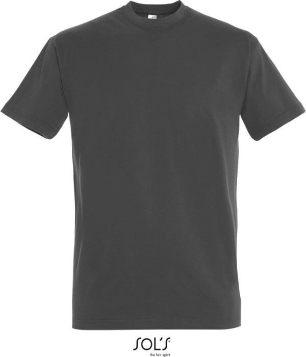 Heavy T-Shirt
