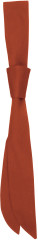 Service Tie - 5C69B164-DF6A-4555-BD89-95C00AD47EBC - variant CC 38AK0345599