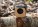 Bamboo 3W Wireless Fashion Speaker - p328.589__m_400 - variant XD P328.589