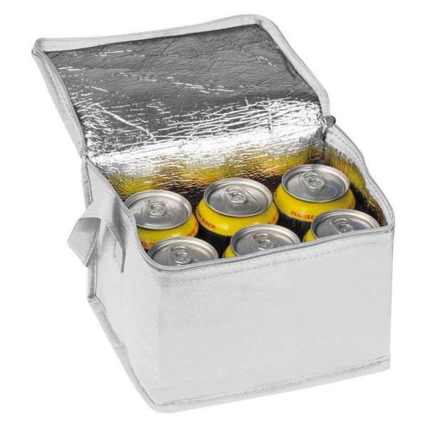 Non-woven cooling bag - 6 cans