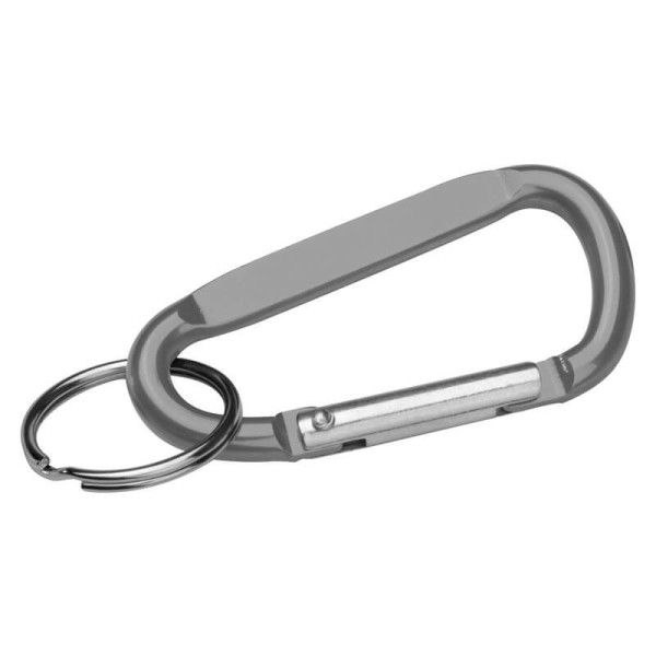 Snap hook keyring