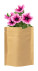 Sober set for planting flowers - AP721479-00 - variant Ap 721479-00