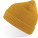 Beanie cap - 2D47BF53-4584-41E3-B42F-B45ECB2A4914 - variant CC 33705020099