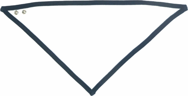 Bandana Bib
