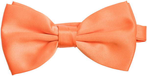 Bow Tie
