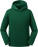 Kids' Authentic Hooded Sweatshirt - 8BD705B7-5767-47E1-9EB4-F4A841C4AD11 - variant CC 10265B540a3