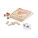 PLAYTIME. 4-in-1 game set - 98001_50 - variant St 9800150