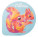 Spinalis puzzle - AP718157 - variant Ap 718157