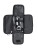 Congus - AP781783 - variant Ap 781783