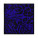 Silk scarf Lina White & Black - UFM028L-2 - variant Ps UFM028L