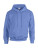 Heavy Blend Hooded Sweat - 290-09-322 - variant Fr 290093225