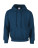 Heavy Blend Hooded Sweat - 290-09-329 - variant Fr 290093297