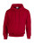 Heavy Blend Hooded Sweat - 290-09-401 - variant Fr 290094014