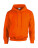 Heavy Blend Hooded Sweat - 290-09-405 - variant Fr 290094053