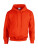 Heavy Blend Hooded Sweat - 290-09-410 - variant Fr 290094106