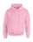 Heavy Blend Hooded Sweat - 290-09-420 - variant Fr 290094205