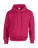 Heavy Blend Hooded Sweat - 290-09-431 - variant Fr 290094317