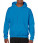 Heavy Blend Hooded Sweat - 290_09_331 - variant Fr 290093313