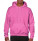 Heavy Blend Hooded Sweat - 290_09_425 - variant Fr 290094253