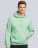 Heavy Blend Hooded Sweat - 290_09_514 - variant Fr 290095143