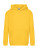 Kids Hooded Sweat - 278-01-601-f-2020-01 - variant