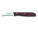 shaping knife, rosewood - Victorinox-5.3100-nôž-na-ovocie-Palisander - variant Vi 5.3100